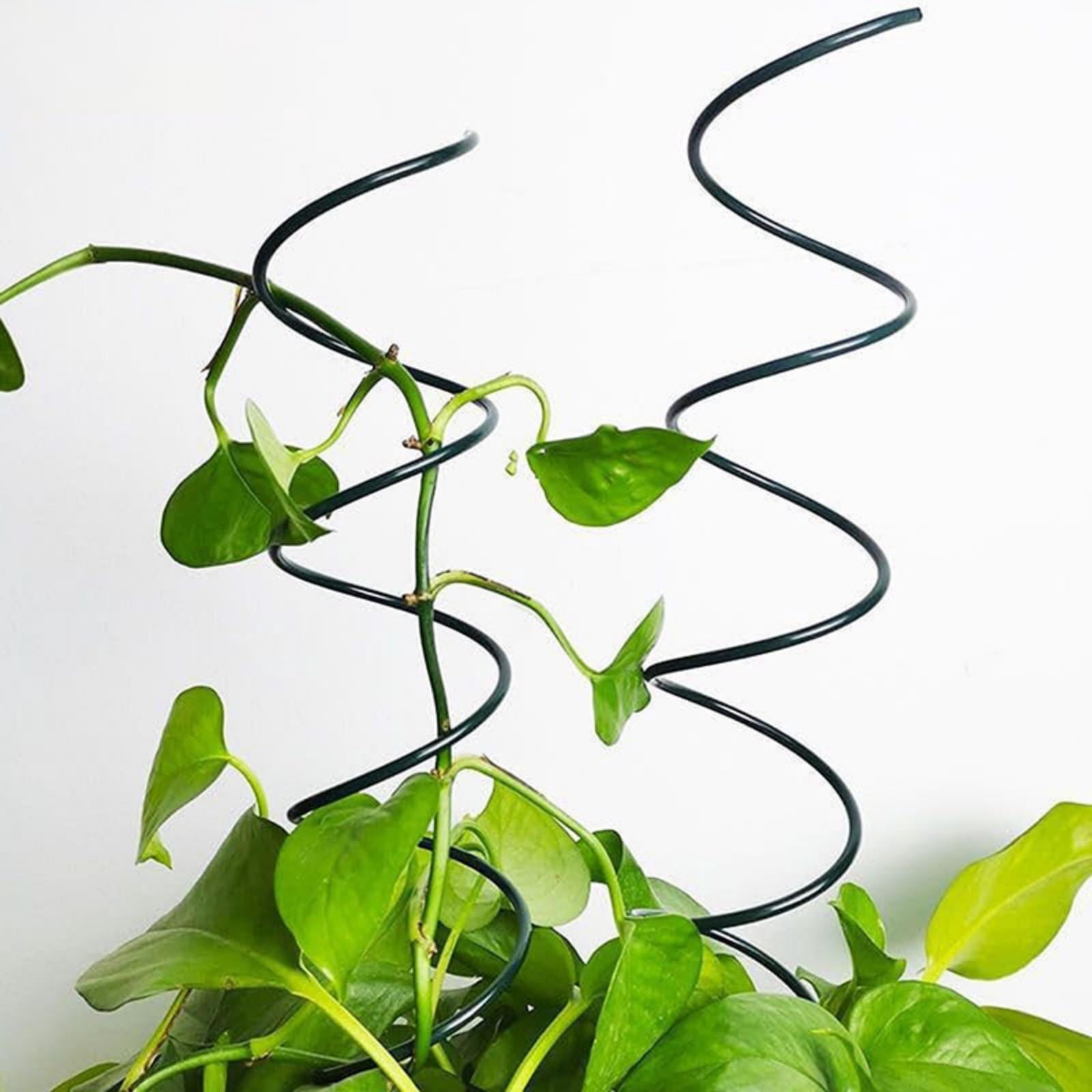 6pcs Tomato Climbing Stakes - Spiral Support Tower for Tomatoes, Peppers and Vines, Heavy Duty Twisted Garden Stakes, Upgrade Metal Cages for Outdoor Vegetable Gardening