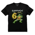thumbnail image 1 of 6th Birthday Shirt TMNT Mutant Ninja Pizza for Boys Youth Kids T-Shirt Small Black, 1 of 4