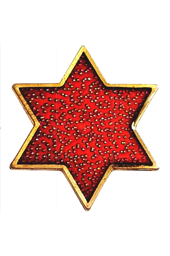 6th Infantry Division Red Star Novelty Hat Lapel Pin 7/8"