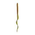 thumbnail image 1 of 6th Sense Boosa 9.6 in Ribbon Tail Worm, High–Action Soft Plastic Bass Bait, 1 of 8