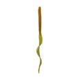 thumbnail image 1 of 6th Sense – Boosa 9.6 Ribbon Tail Worm, High-Action Soft Plastic Bass Bait, 1 of 5