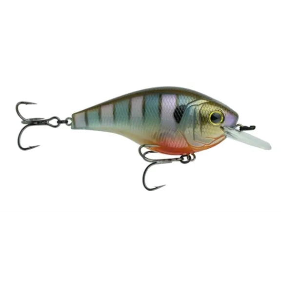 6th Sense Cloud 9 Magnum Squarebill