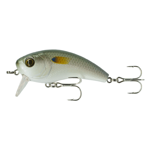 6th Sense – Movement Salt Wake Series Topwater Wake Bait, Inshore Saltwater Fishing Lure