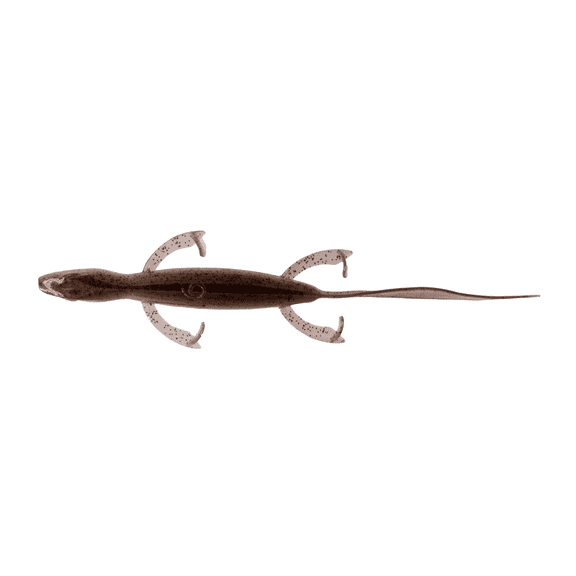 6th Sense – Ridge Lizard 5.7 Soft Plastic Lizard, Ridge Tail Design, Versatile Finesse Bait