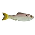 thumbnail image 1 of 6th Sense Panorama 2.8 Soft Swimbait – Bass & Crappie Fishing Lure | Natural Swimming Action with Detailed Forage Profile for Finesse and Sonar Fishing, 1 of 11