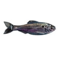 thumbnail image 1 of 6th Sense Panorama 6.5 Soft Swimbait – Bass & Crappie Fishing Lure | Mid-Size Forage Imitator with Fluid Swimming Action for Offshore and Open Water Fishing, 1 of 11