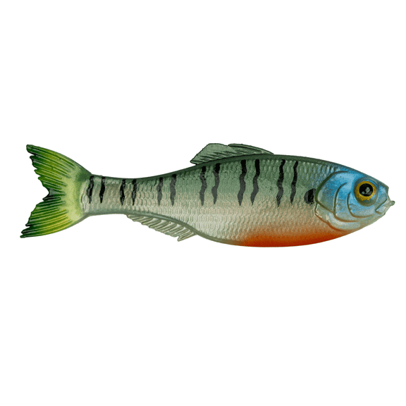6th Sense Panorama 5.0 Soft Swimbait Bass and Crappie Fishing Lure Mid-Size Forage Imitator