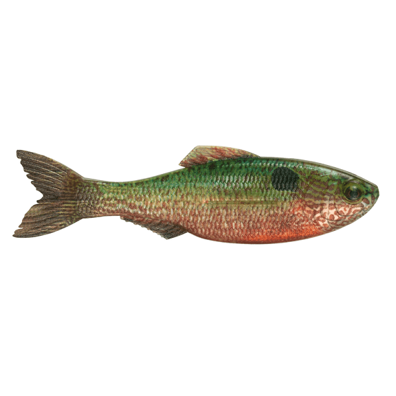6th Sense - Plump Panorama – Bass Fishing Lure – Extra Thick Body, Realistic Baitfish Profile, Multi-Purpose Soft Plastic (3/pk)