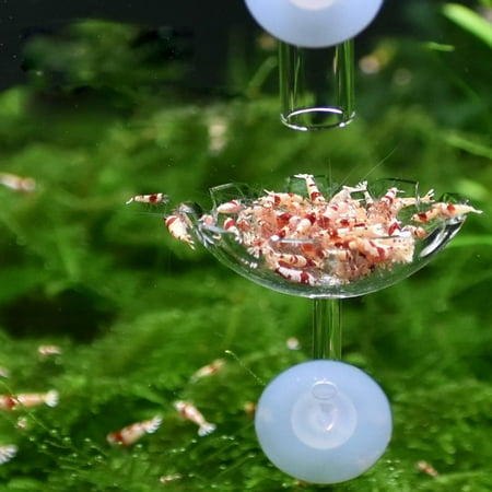 6x Feeding Dish Bowl Acrylic Flower Design Aquarium Tray Water Food Smaller Reptile Worms Dish Feeder Bowl