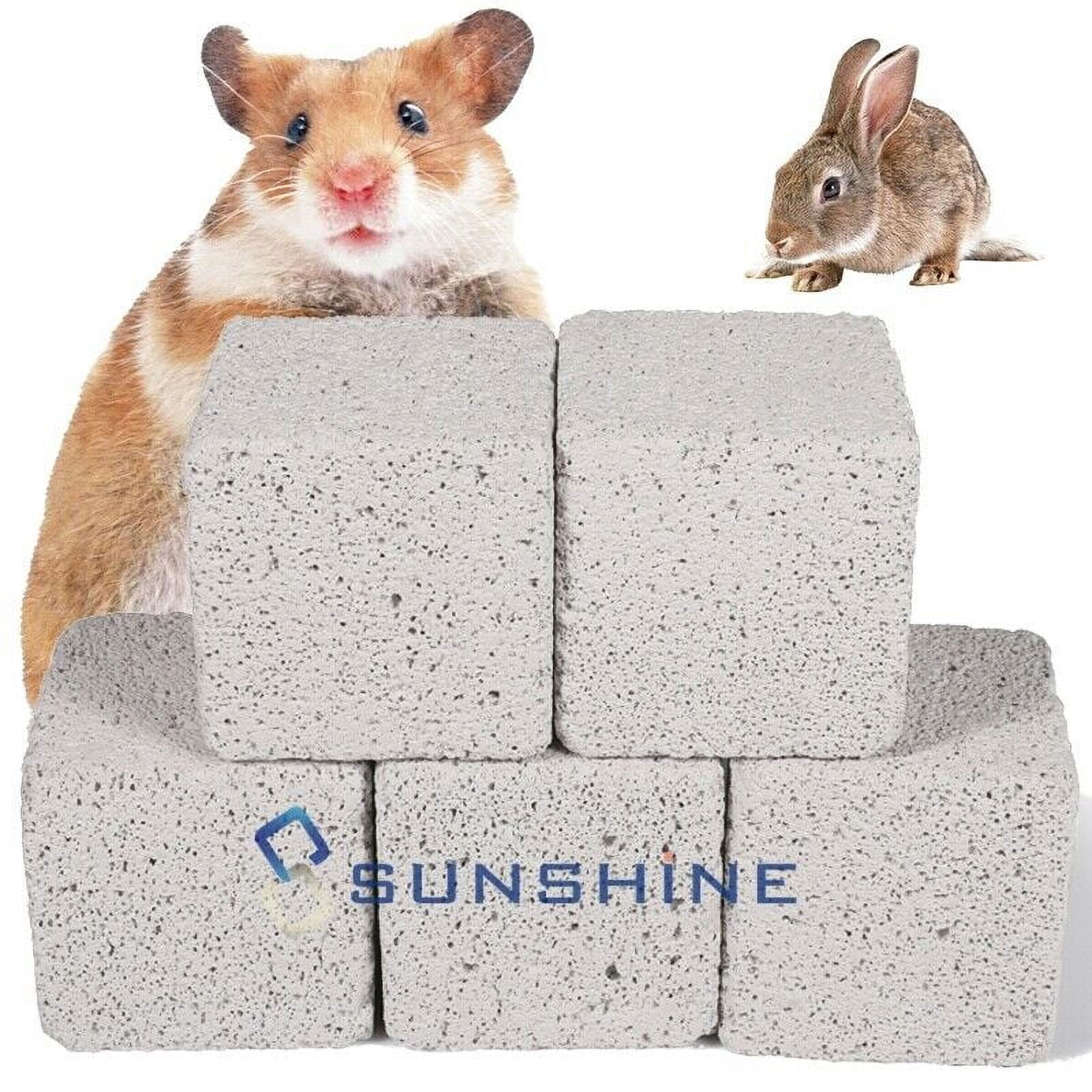 6x Teeth Grinding Blocks Stone 2inch Animal Rabbits Bunny Lava Chews ...