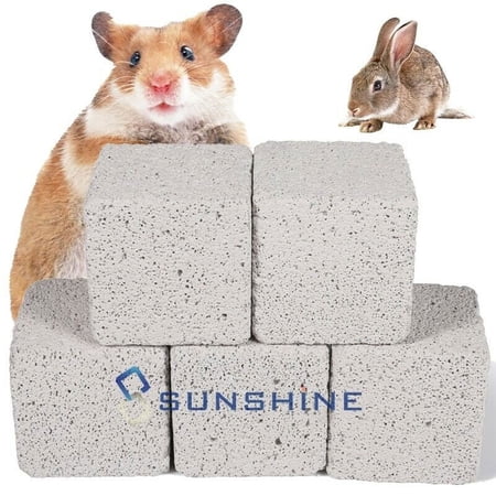 6x Teeth Grinding Blocks Stone 2inch Animal Rabbits Bunny Lava Chews Toy Stone