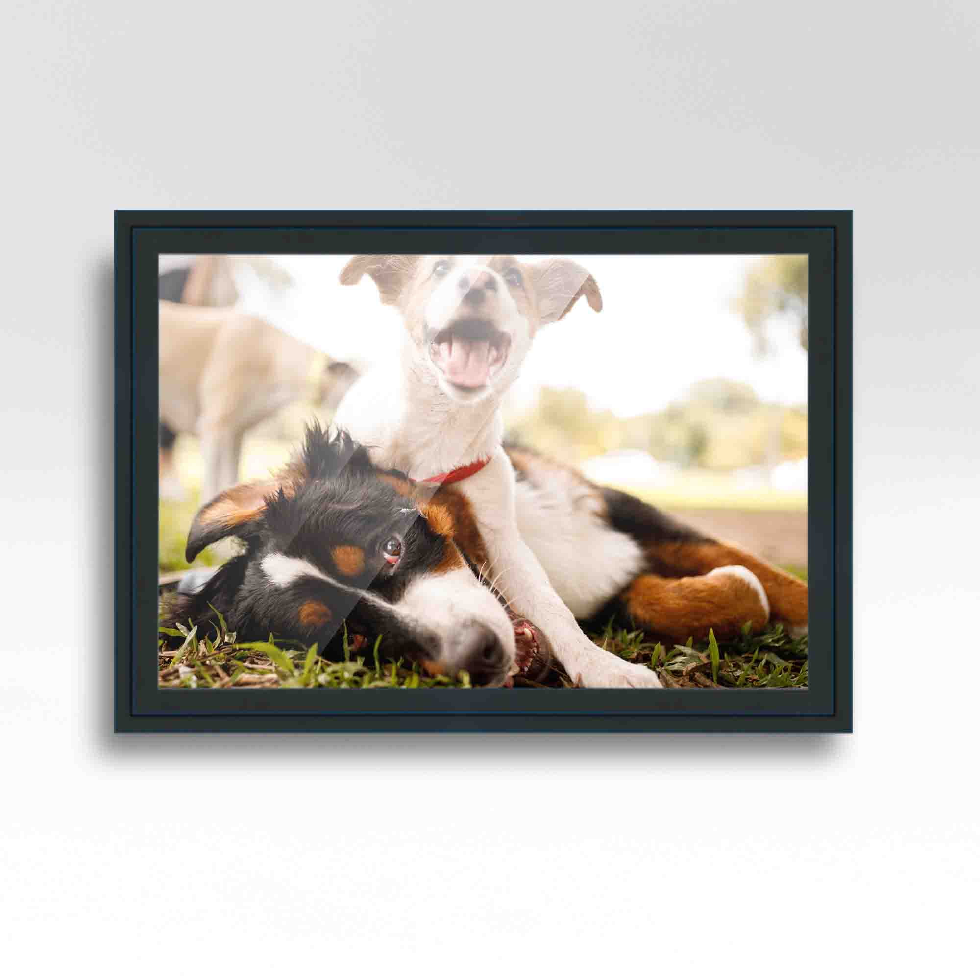 6x10 Frame Black Real Wood Picture Frame Width 1.25 inches | Interior Frame  Depth 0.5 inches 