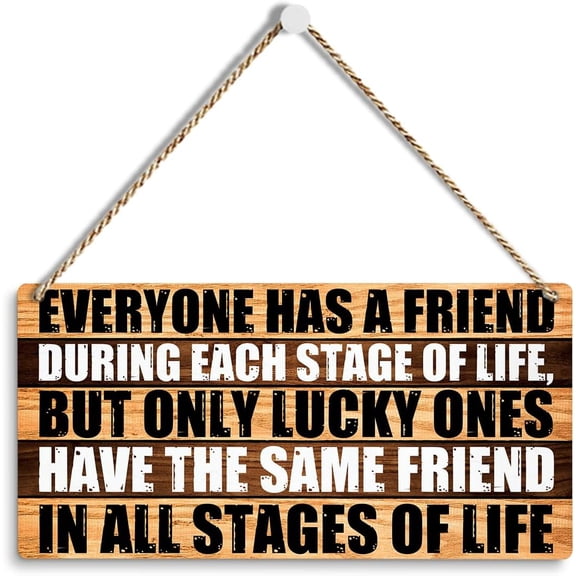 6x12 Inch Friend Decor For Home Office, Farmhouse Door Decor Signs, Rustic Friend Wall Hanging Decor, Birthday Gifts For Women Friendship, Everyone Has A Friend During Each Stage Of Life Sign