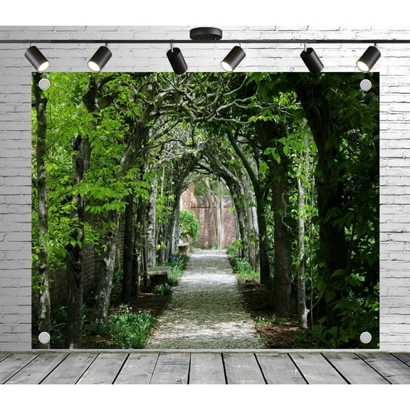 6x4ft Enchanting Tree Archway Path Backdrop Photoshoot Photo Backdrop Nature Scenery Background for Theme Party Wedding Birthday Baby Shower Decoration Banner Photo Booth Studio Props