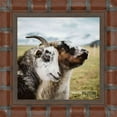 thumbnail image 1 of 6x6 Brown Wide Bamboo Picture Frame - UV Acrylic, Foam Board Backing, Hanging Hardware, 1 of 8