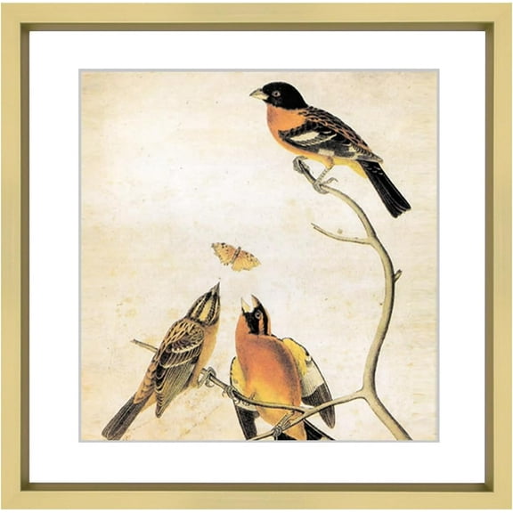 6x6 Picture Frame, Brass Metal Photo Frames with HD Glass, Fits 5x5 with Mat or 6 x 6 without Mat, Display for Wall and Table, 1 Pack