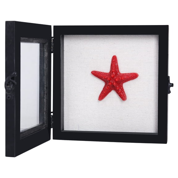 6x6 Shadow Box Frame with Glass Hinged Door Solid Wood Black