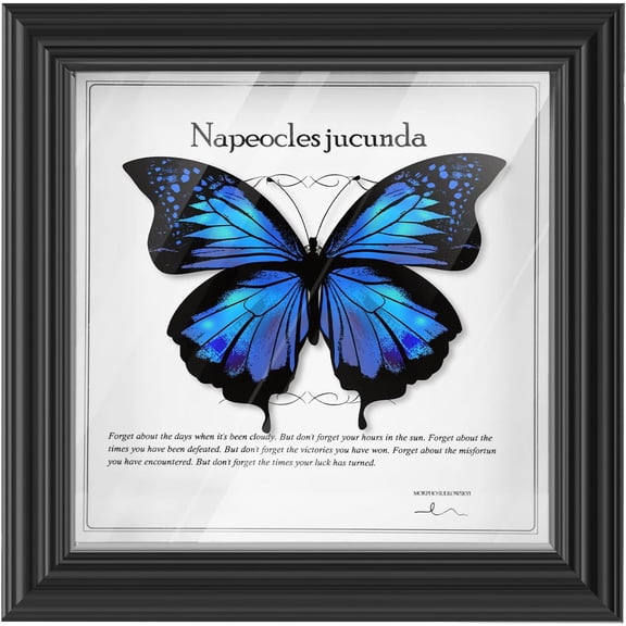 6x6 Small Shadow Box Frame with Glass, 0.7 Inch Depth | Display Size 5.5x5.5 Shadowbox Display Case, Wooden Picture Frame for Wall and Tabletop