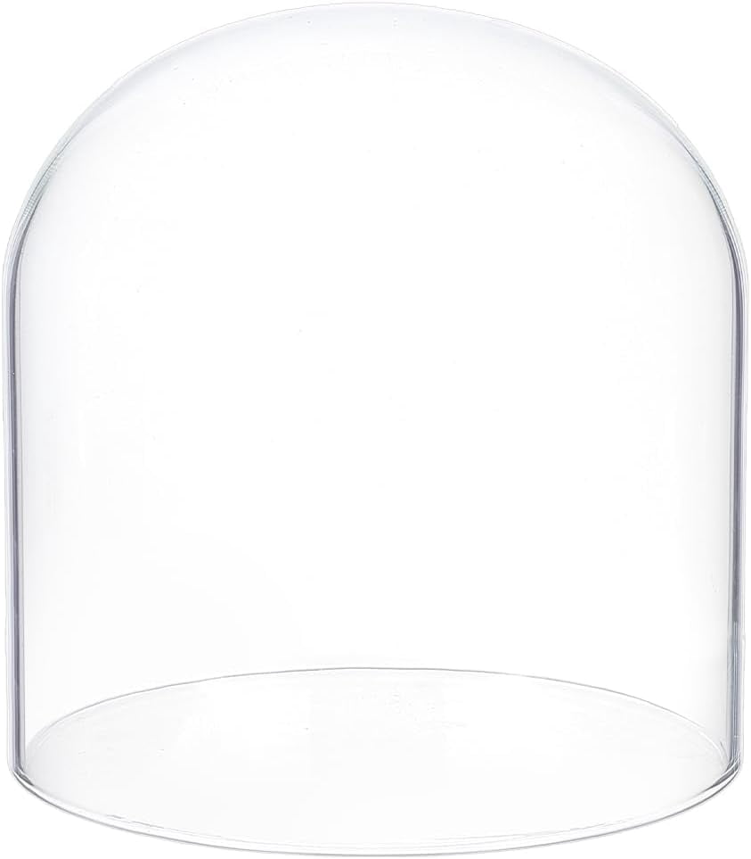 What Is A Cloche Dome at Sabrina Swensen blog