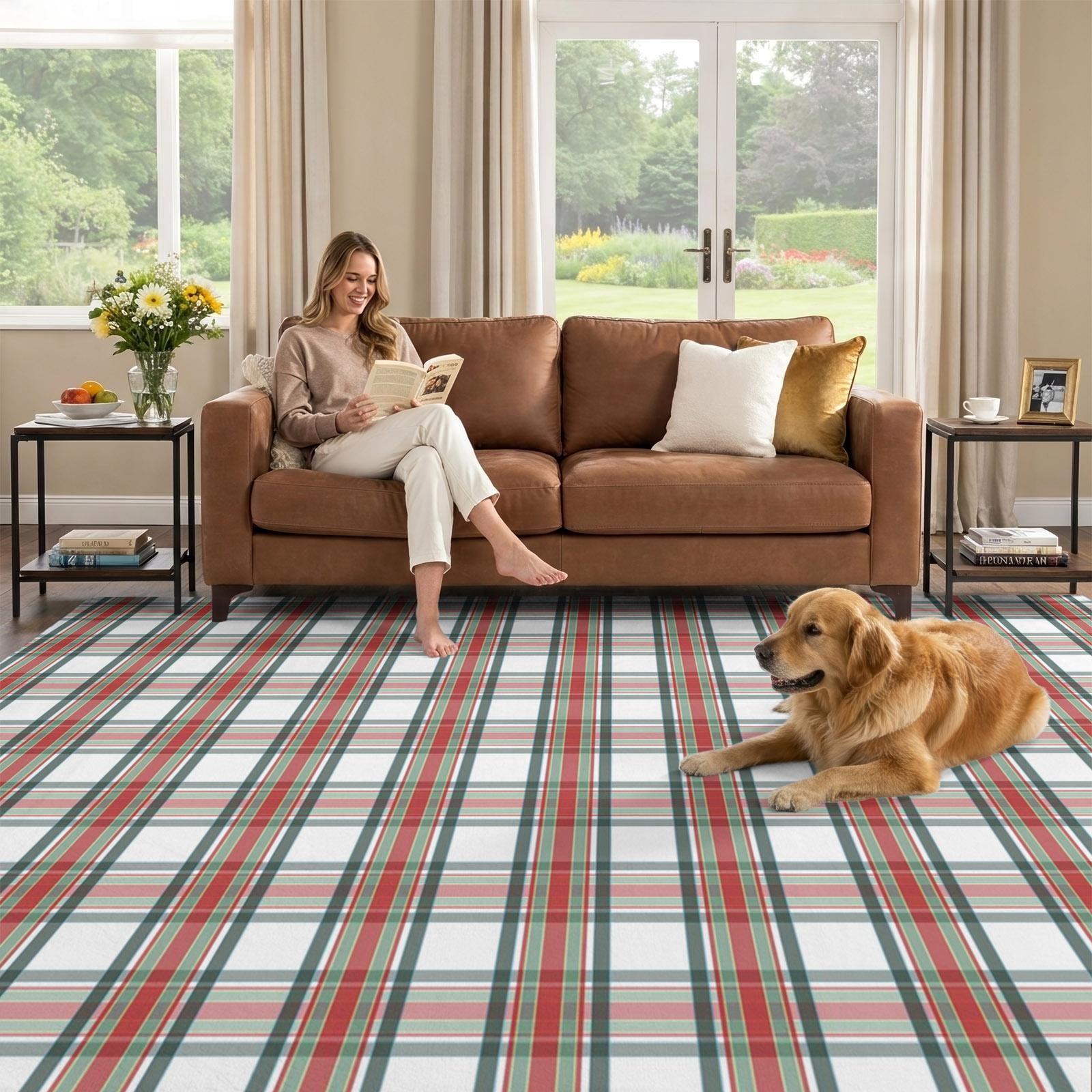 6x9 Area Rug, Classic Gingham Low Pile Washable Rugs for Dorm Room ...