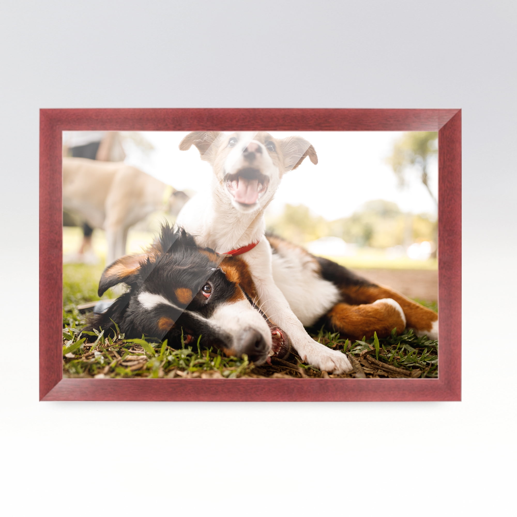 6x9 frame 2024