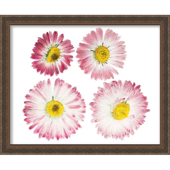 6x9 Gold Shadowbox Frame - Interior Size 6x9 by 1 Inch - Made to Display Items Up To 1 Inch Deep