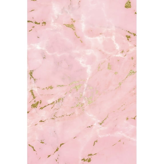 6x9 Lined Softcover Notebook: Gilded Gold Composition Notebook - Small Ruled Notebook - 6x9 Lined Notebook (Softcover Journal / Notebook / Diary) (Series #198) (Paperback)