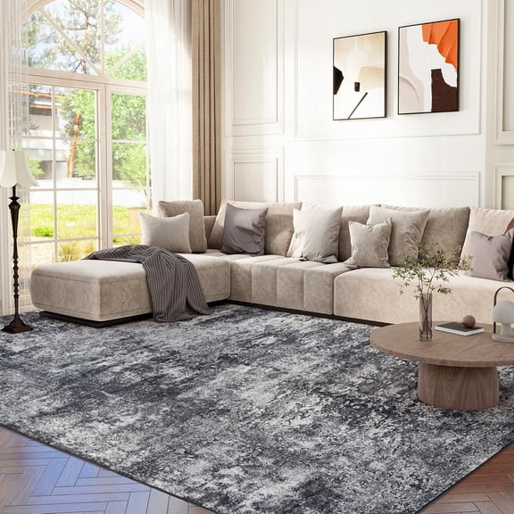 6x9 Washable Area Rug for Living Room, Non-Slip Soft Modern Abstract Large Carpet, Low Pile Neutral Rugs for Bedroom, Dining Room, Home Office, Dorm, Indoor Decor, Black and Grey