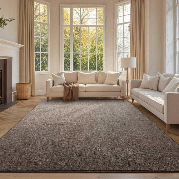 6x9 Washable Area Rugs for Bedroom Living Room, Low Pile Thin Rug Solid Color, Non-Slip Carpet Indoor for Home Decor (Brown)