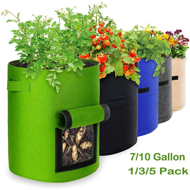 https://i5.walmartimages.com/seo/7-10-Gallon-Potato-Grow-Bags-CAMPMOY-Heavy-Duty-Aeration-Fabric-Pots-Thickened-Nonwoven-Fabric-Garden-Bag-with-Flap-Handles-Green_9b05dad1-7f46-41d0-ad6d-b774120c8f73.fe539624486642a6a3d2eff9d77cdefe.jpeg?odnHeight=768&odnWidth=768&odnBg=FFFFFF