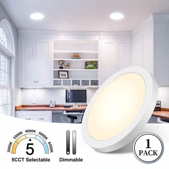 7 Inch LED Flush Mount Ceiling Light, Dimmable with 5 Color Temperatures, Modern Fixture for Kitchen, Bedroom and Hallway,White