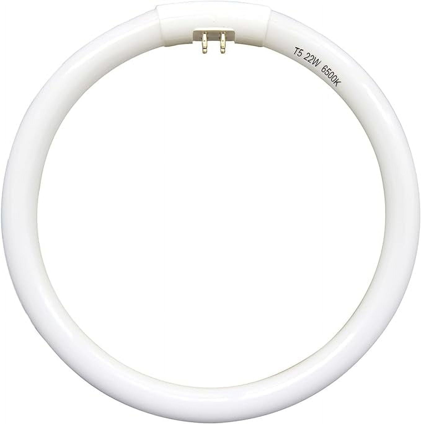 Circular Fluorescent Light Bulbs Circular Fluorescent Light Bulbs