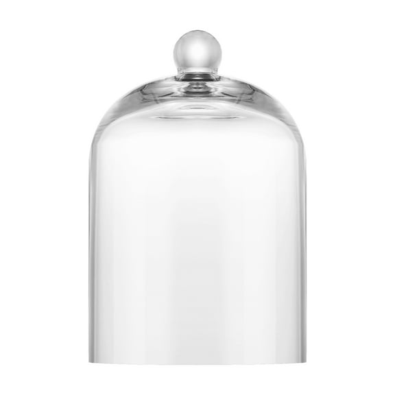 7.5" High Handmade Clear Glass Display Dome Cloche Bell Jar Tabletop Decorative Case Covered Plants/Food