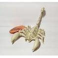 thumbnail image 1 of 7.5 Inch Happy Halloween Crazy Bones Scorpion Skeleton Prop with Poseable Tail, 1 of 2