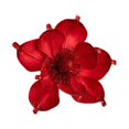 thumbnail image 1 of 7.5" Large Christmas Magnolia Flowers, Glitter Artificial Poinsettia Stems, Velvet Texture Christmas Tree Ornaments, Home Table Decorations for Holiday Party Decor, 1 Pack,Red, 1 of 6