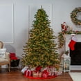 thumbnail image 1 of 7.5 ft. Pre Lit Clear Incandescent Layered Norfolk Pine, 1 of 3