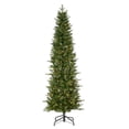 thumbnail image 1 of 7.5 ft. Pre Lit Clear Incandescent Natural Cut Narrow Saginaw Spruce, 1 of 1