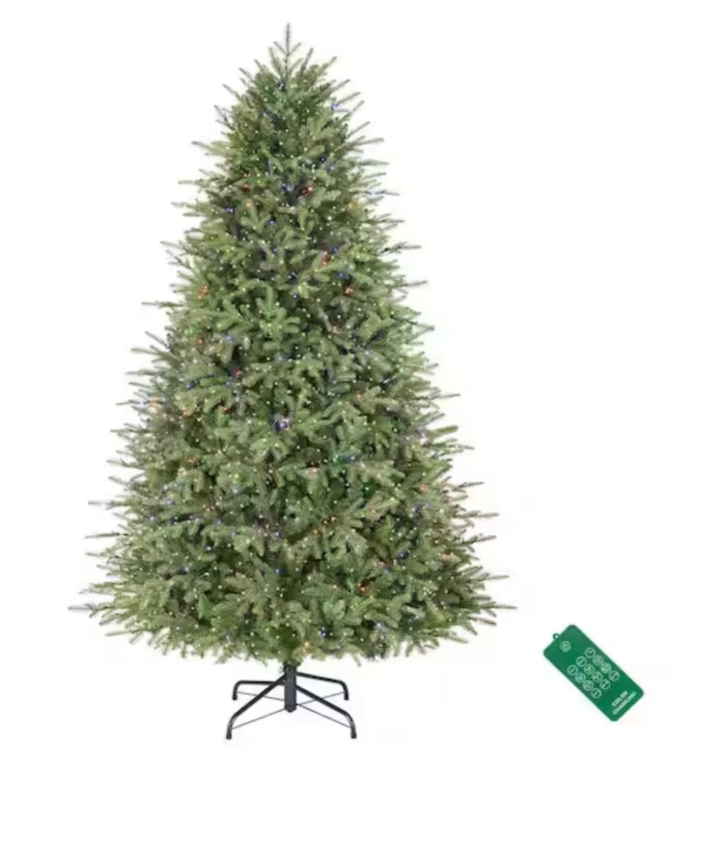 7 5 Ft Grand Duchess Balsam Fir