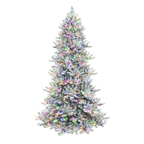 7.5 ft Pre-lit Flocked Royal Majestic Douglas Downswept Tree 700 Color Select LED Lights