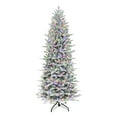 thumbnail image 1 of 7.5 ft Pre-lit Slim Flocked Northern Fir PE/PVC Tree 2365 Tips 400 Color Select LED Lights, 1 of 3
