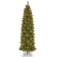 thumbnail image 1 of National Tree Company 7.5 ft. Tacoma Pine Pencil Slim Tree with Clear Lights, 1 of 2