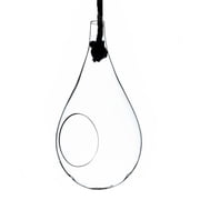 7.5 in. Small Clear Rope Hanging Terrarium & Vase