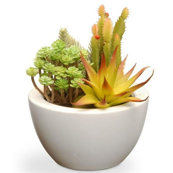 7.5 in. Succulent in Ceramic Pot
