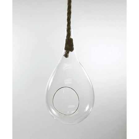 7.5" x 15" Clear Rope Hanging Terrarium