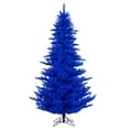 thumbnail image 1 of 7.5 x 52" Blue Fir Tree 1634Tips, 1 of 1
