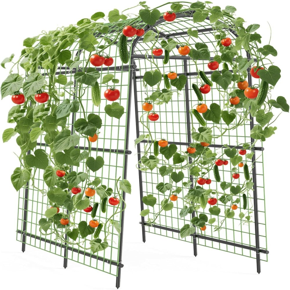 7.5FT Extra Tall Garden Arch Trellis, Polyethylene-Coated Stainless Steel Arbor for Climbing Plants, Vegetables & Flowers, Outdoor Pergola for Cucumber, Rose, Wedding & Party Decoration