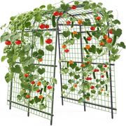 7.5FT Extra Tall Garden Arch Trellis, Polyethylene-Coated Stainless Steel Arbor for Climbing Plants, Vegetables & Flowers, Outdoor Pergola for Cucumber, Rose, Wedding & Party Decoration