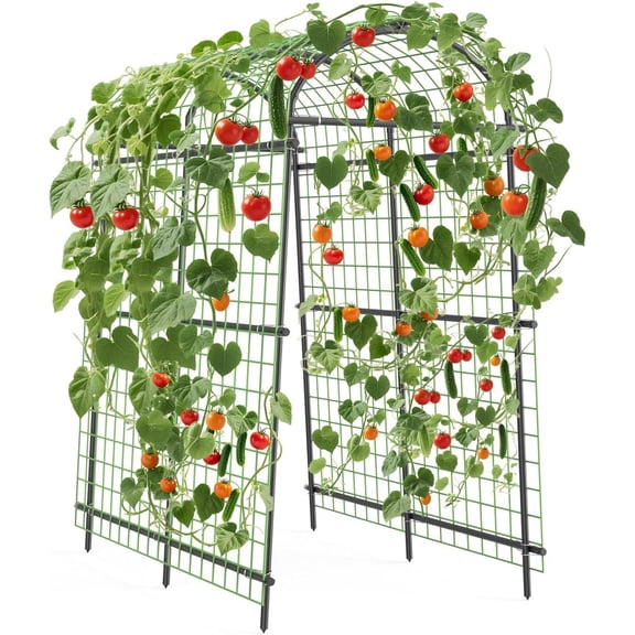 7.5FT Extra Tall Garden Arch Trellis, Polyethylene-Coated Stainless Steel Arbor for Climbing Plants, Vegetables & Flowers, Outdoor Pergola for Cucumber, Rose, Wedding & Party Decoration