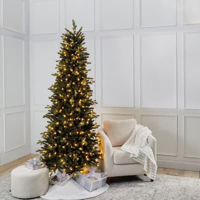 7.5ft. Pre-Lit Glenwood Slim Realistic Artificial Christmas Tree - Warm White LED Lights by Ashland
