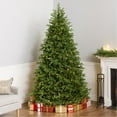 thumbnail image 1 of National Tree Company 7.5 ft. Princeton Fraser Fir with 800 Dual Color® LED Lights and PowerConnect®, 1 of 9